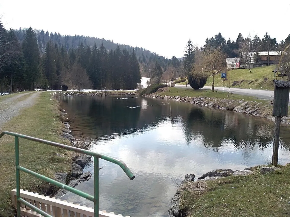 Apartman Ris Gorski Kotar Crni Lug 0*, Delnice Croatia