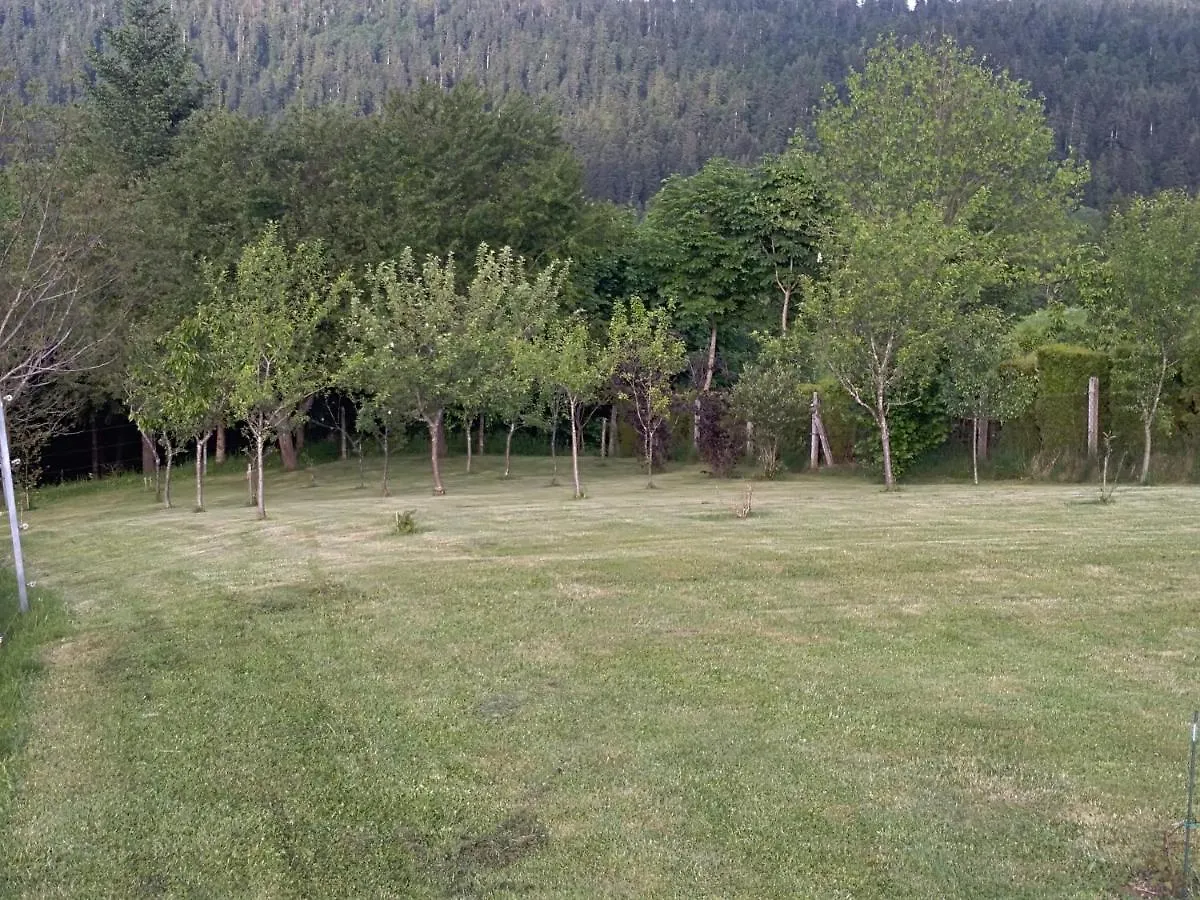 Apartament Apartman Ris Gorski Kotar Crni Lug Delnice