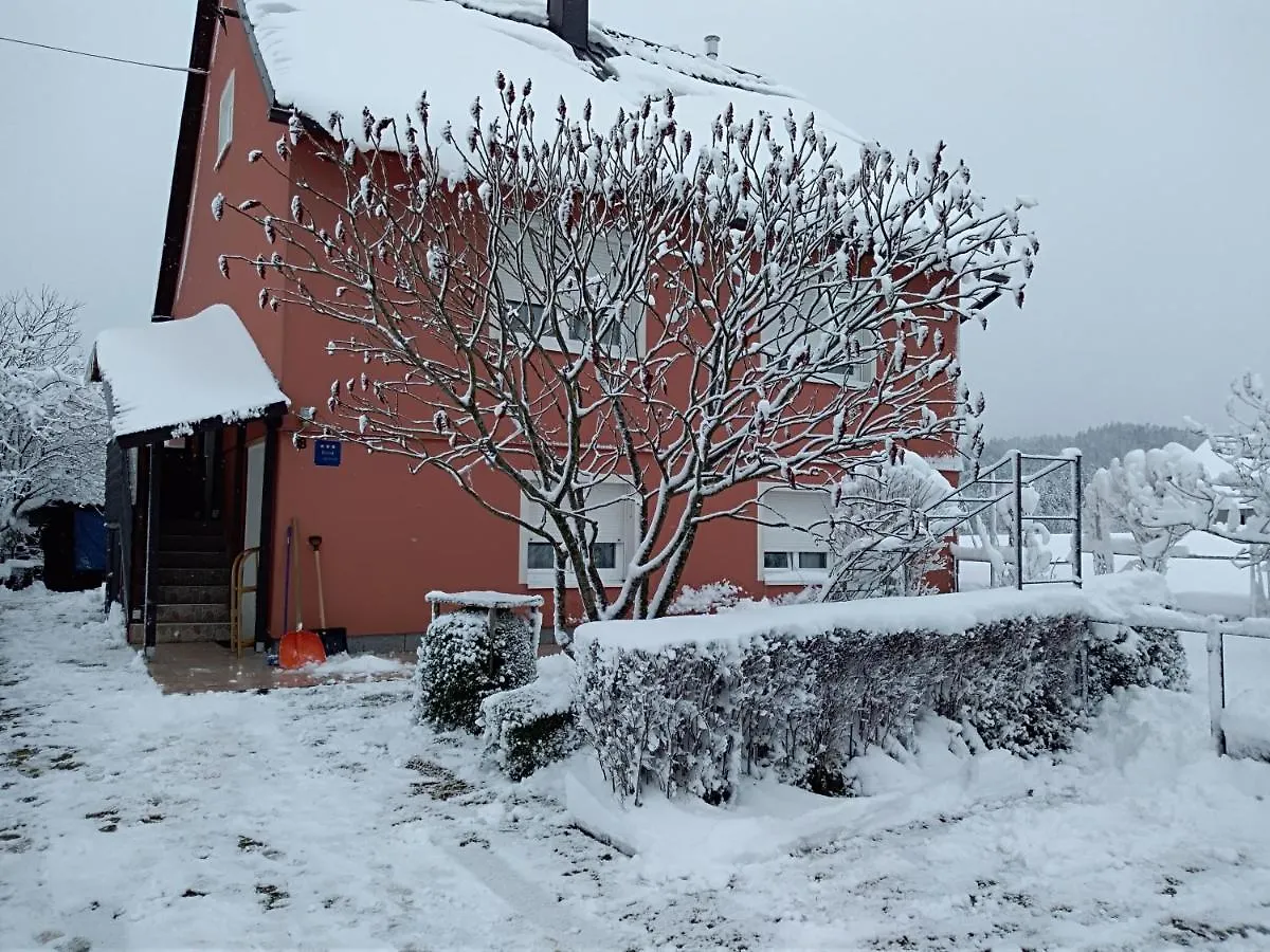 Apartament Apartman Ris Gorski Kotar Crni Lug Delnice