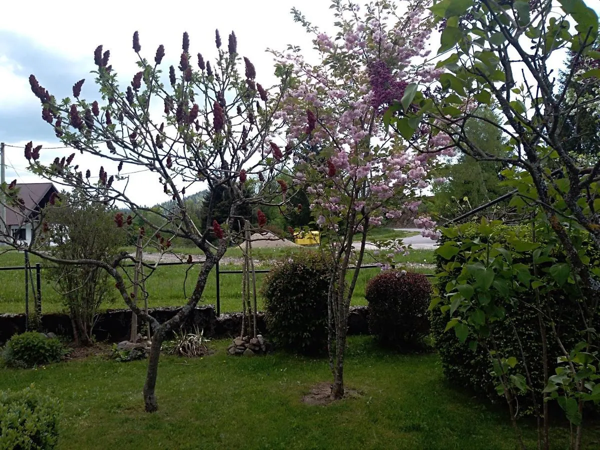 Apartman Ris Gorski Kotar Crni Lug Croatia