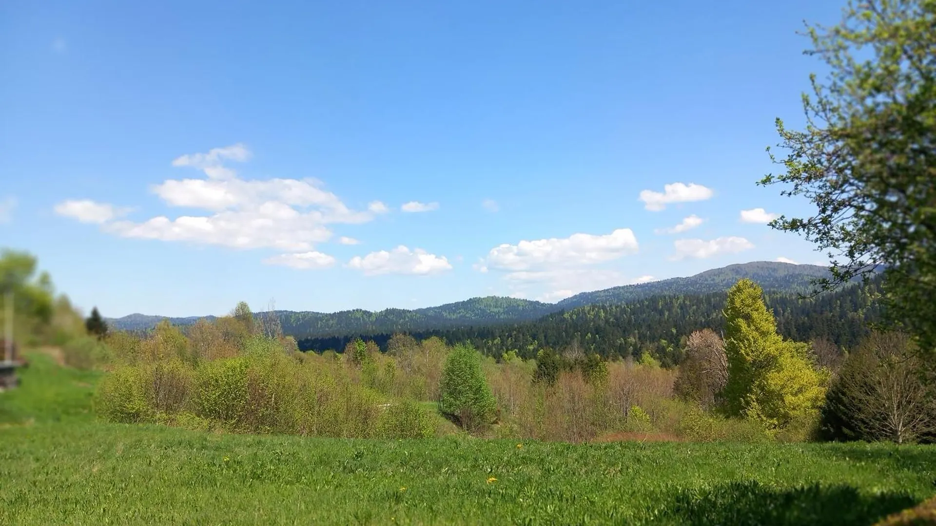Apartman Ris Gorski Kotar Crni Lug